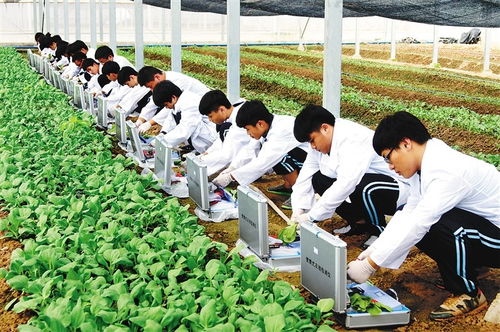 農(nóng)大溫情畢業(yè)禮 萬斤水果贈(zèng)學(xué)子，暖心與專業(yè)技能并重