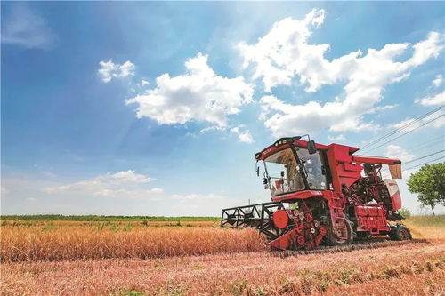 糧農組織推動種子與作物多樣性發展，保障全球糧食安全