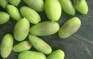 植保科技助力農業發展，特色產業推動鄉村振興